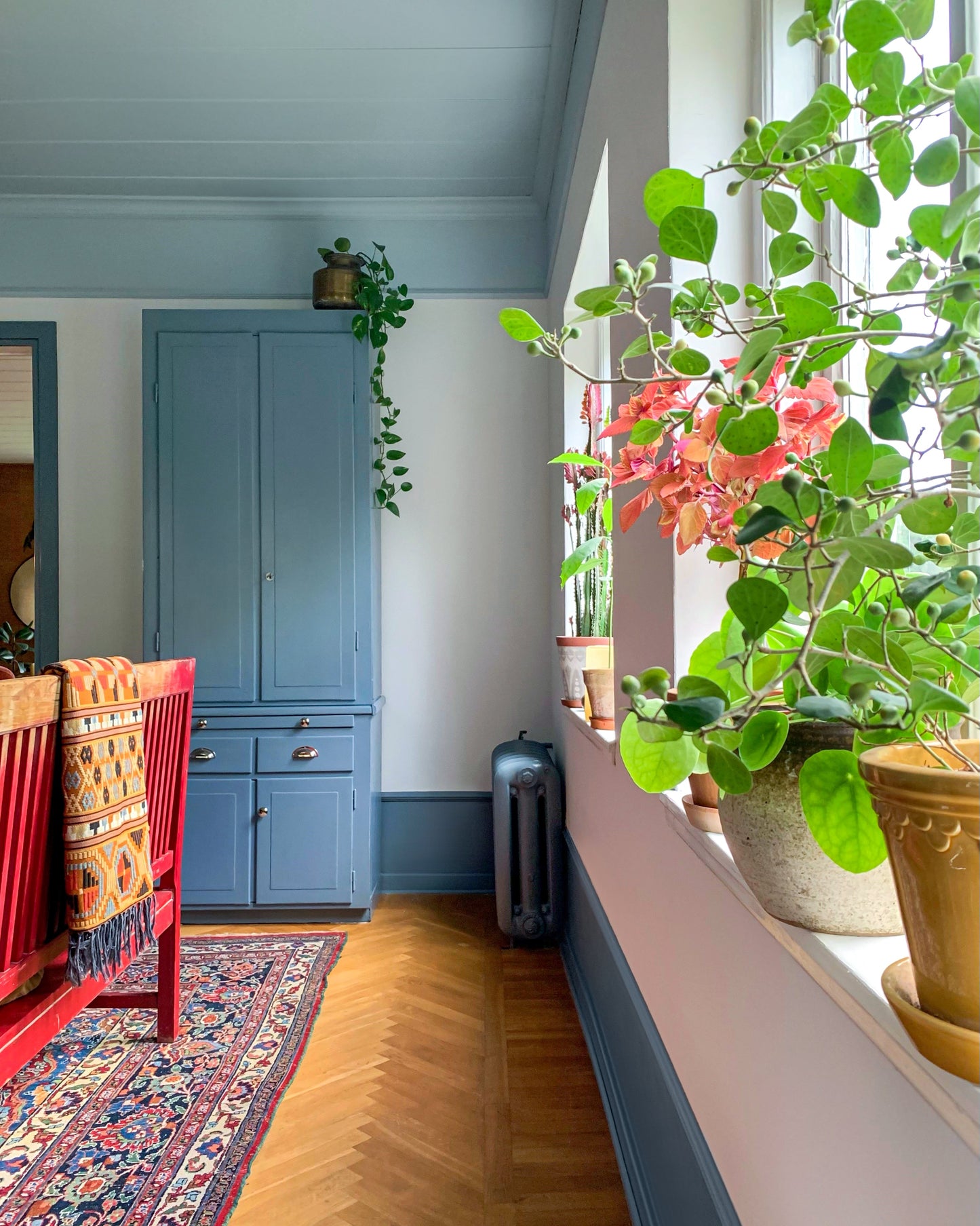 Corniche polystyrène DP22